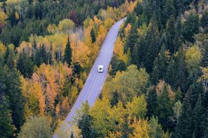 RV traveling down winding forest road through autumn trees, demonstrating scenic route exploration and travel freedom.
