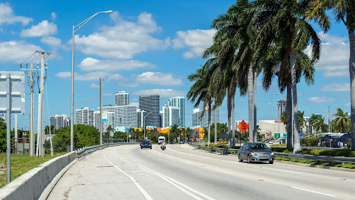 Urban street scene with vehicles and palm trees, illustrating Florida street use regulations for registered vehicles