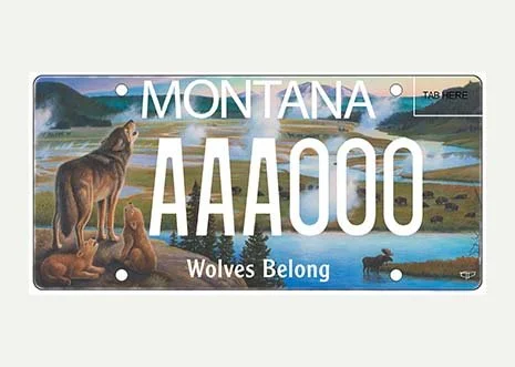 Montana Bear Creek Council specialty plate