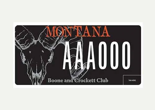 Montana Boone and Crockett Club specialty plate