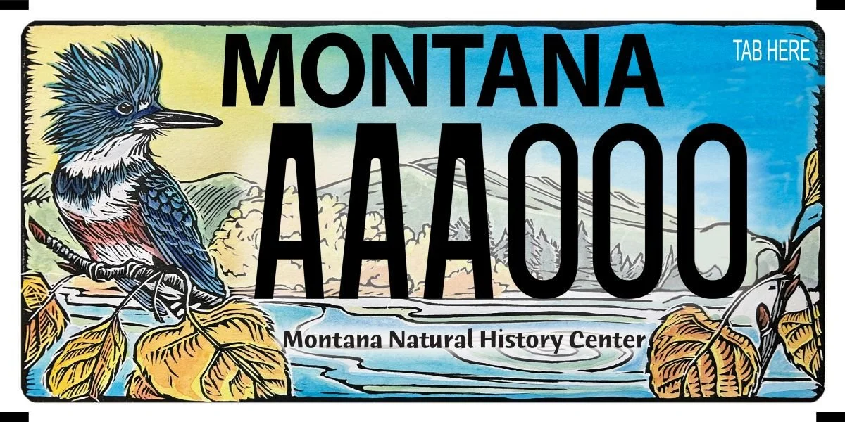 Montana Montana Natural History specialty plate