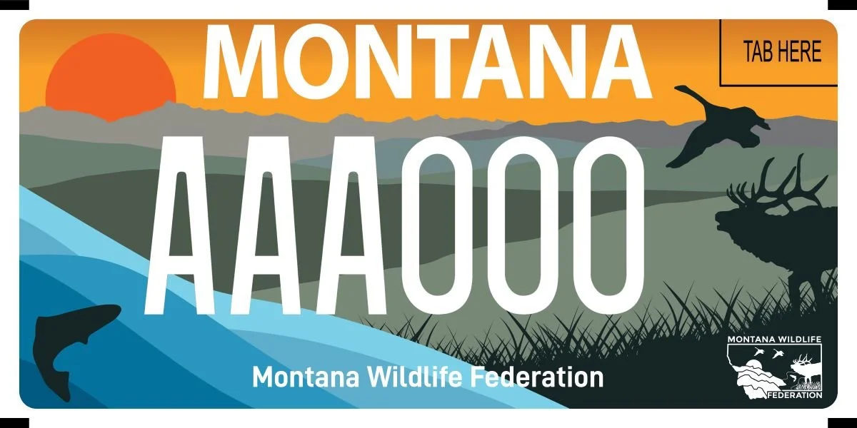 Montana Montana Wildlife Federation specialty plate