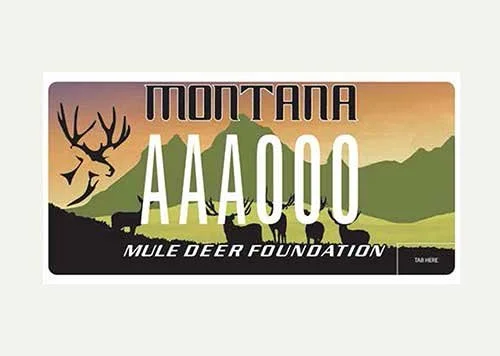 Montana Mule Deer Foundation specialty plate
