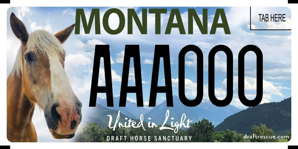 Montana United in Light specialty plate