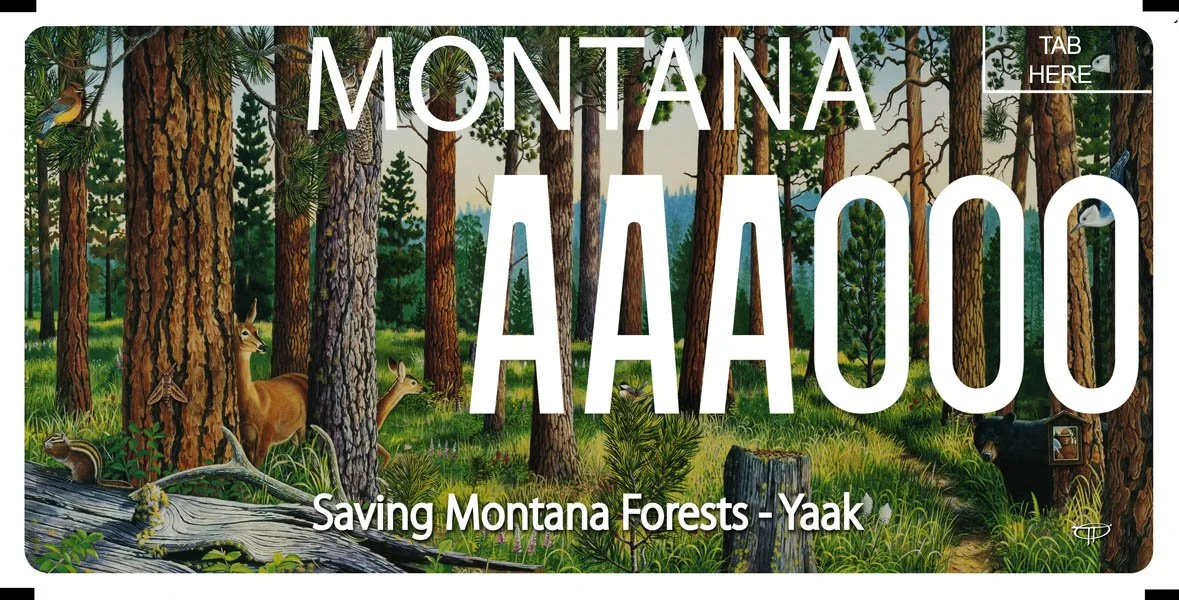 Montana YAAK Valley Forest specialty plate