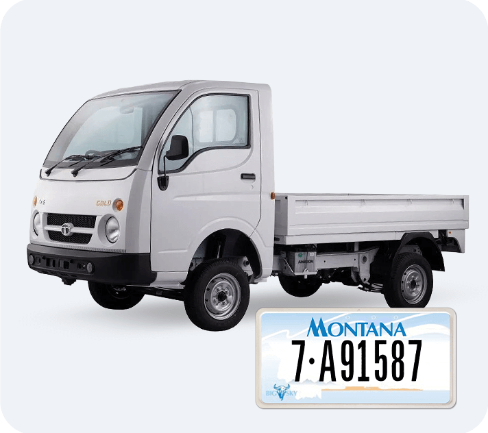 minitruck street legal service