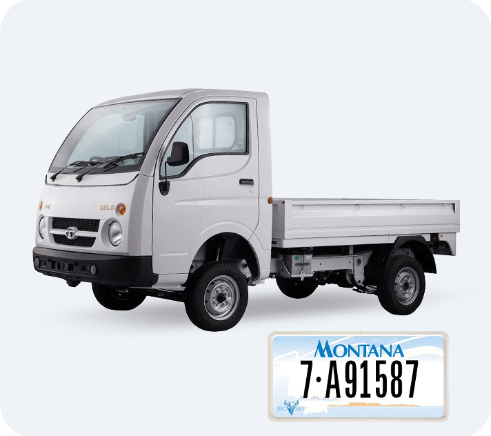 mini truck registration