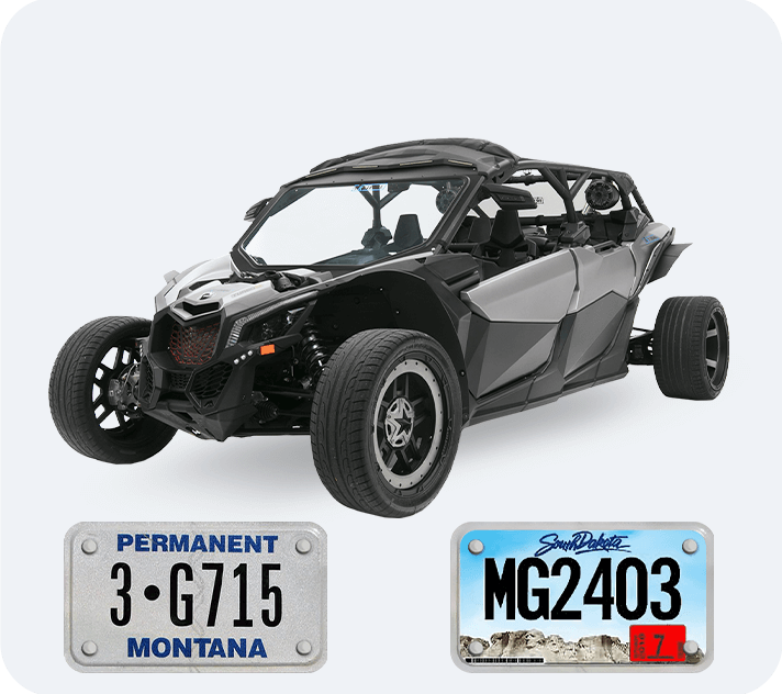 utv/roxor street legal service