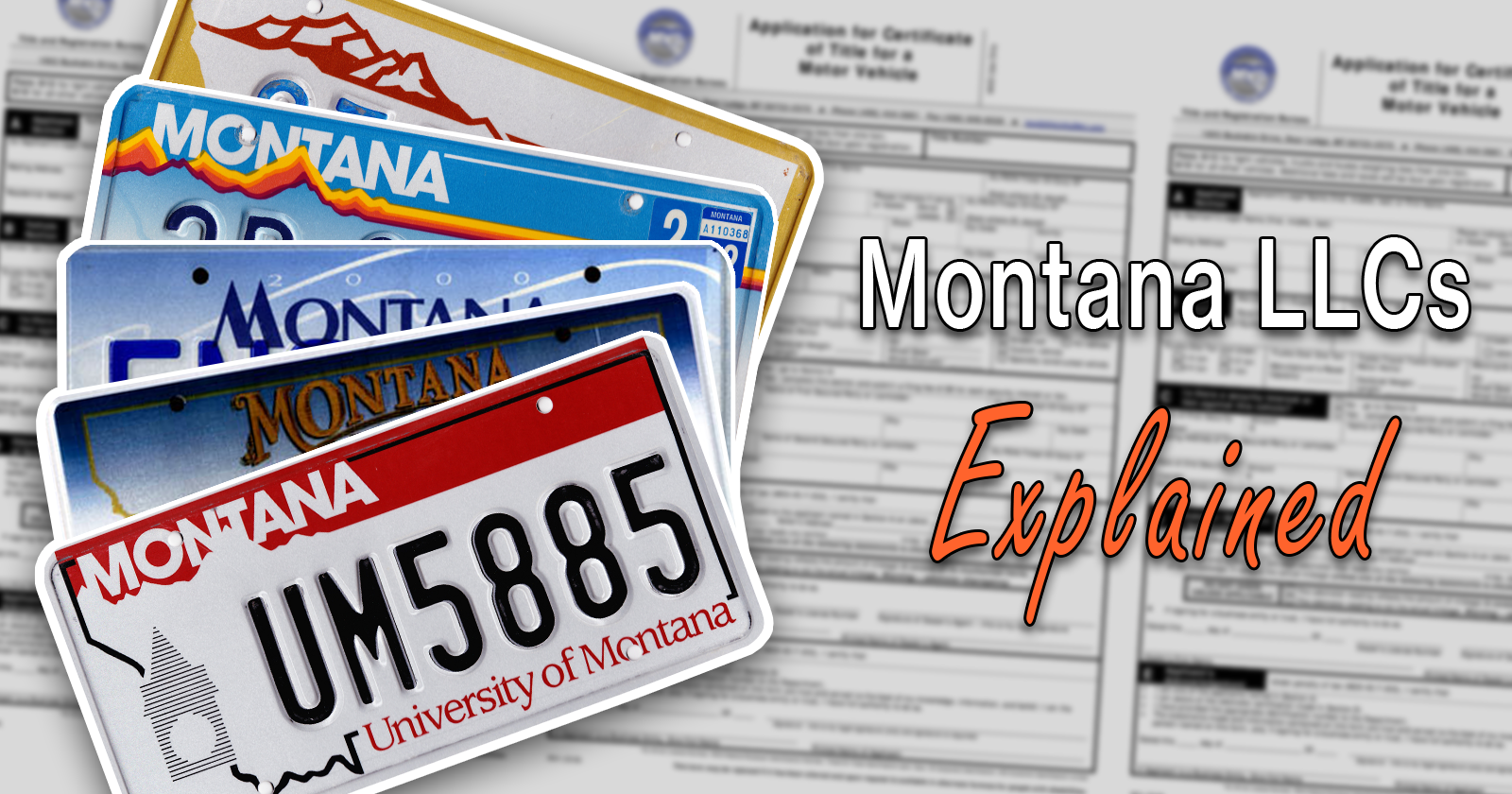 Montana LLCs Explained