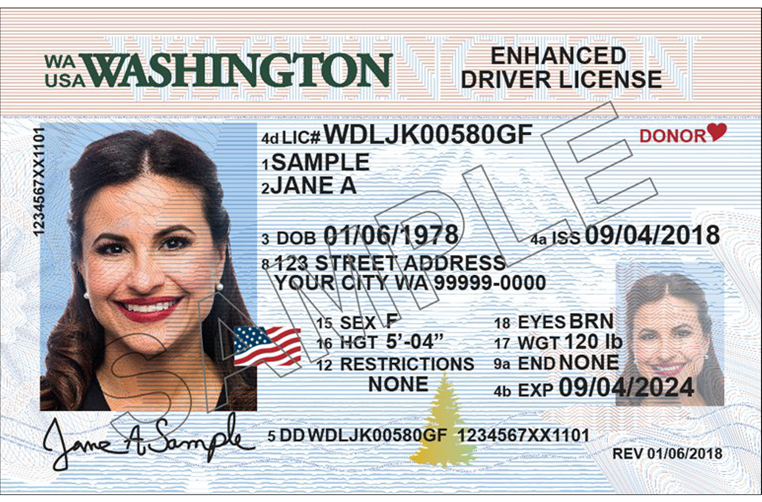 Sample driver's license