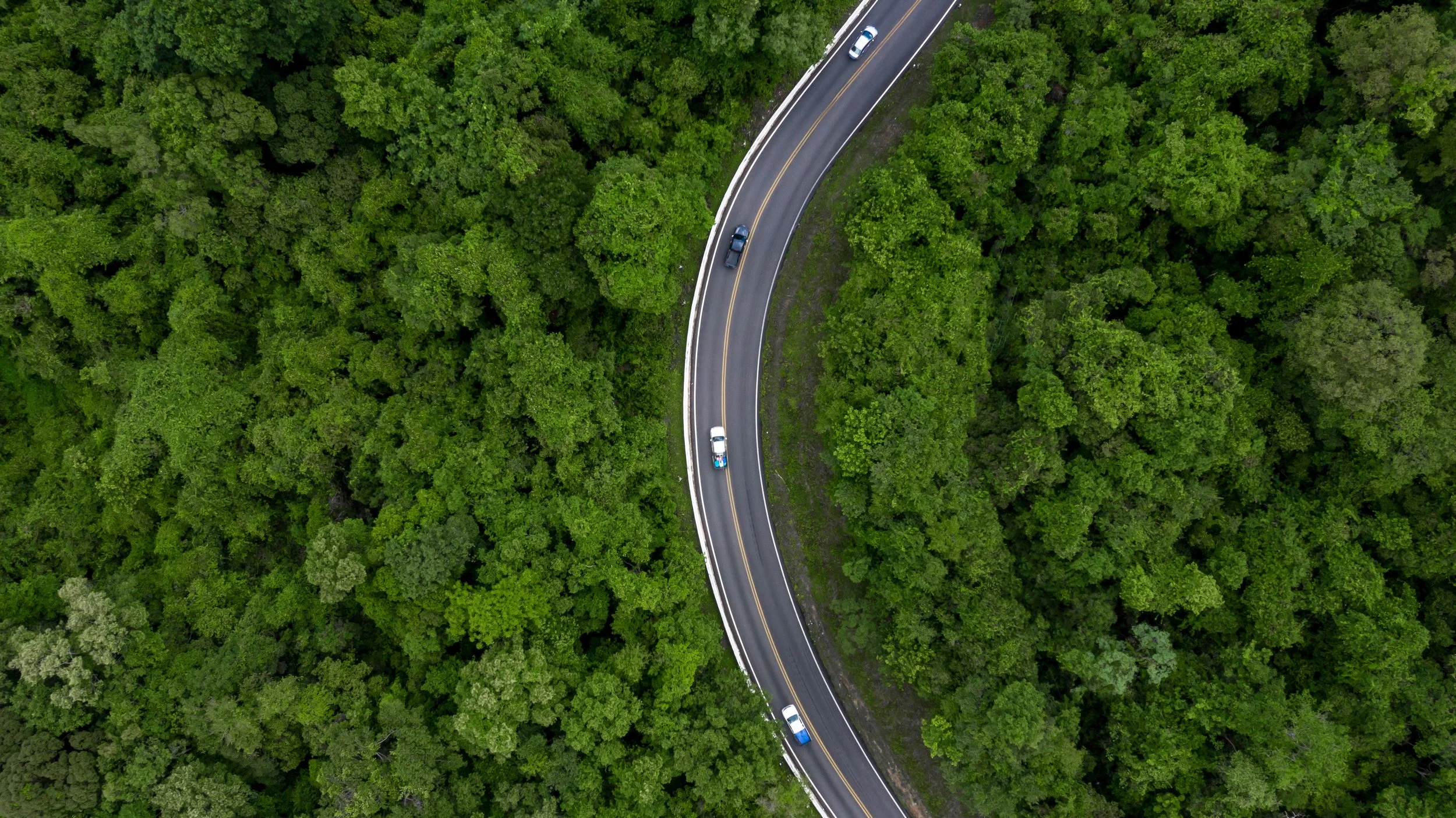 Aerial view of cars driving on curved forest road through dense green trees, illustrating transportation choices