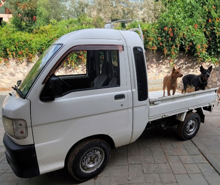White Japanese mini-truck parked on street with two dogs on bed, showcasing legal Kei vehicle for Michigan roads