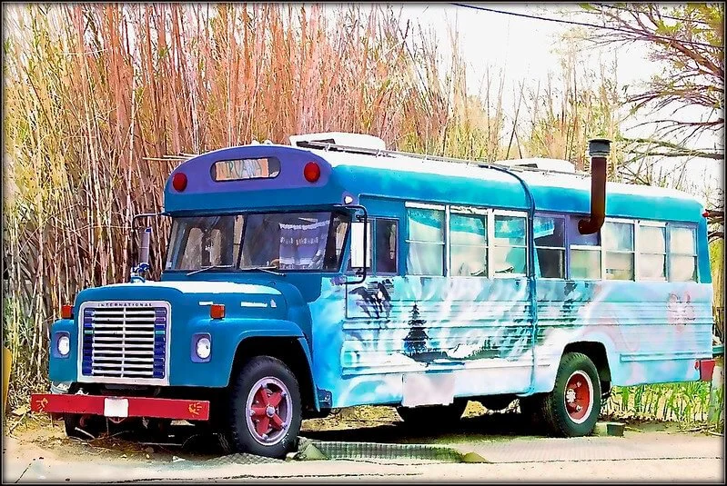 Vintage blue school bus converted into a toy hauler RV with custom paint, parked outdoors near autumn reeds.