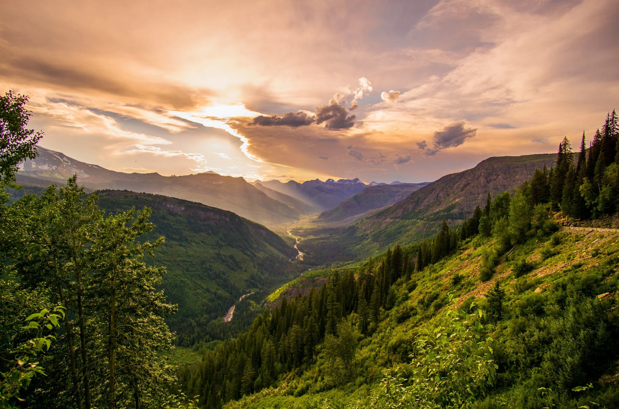 Scenic Montana mountain valley with river and coniferous forests at sunset