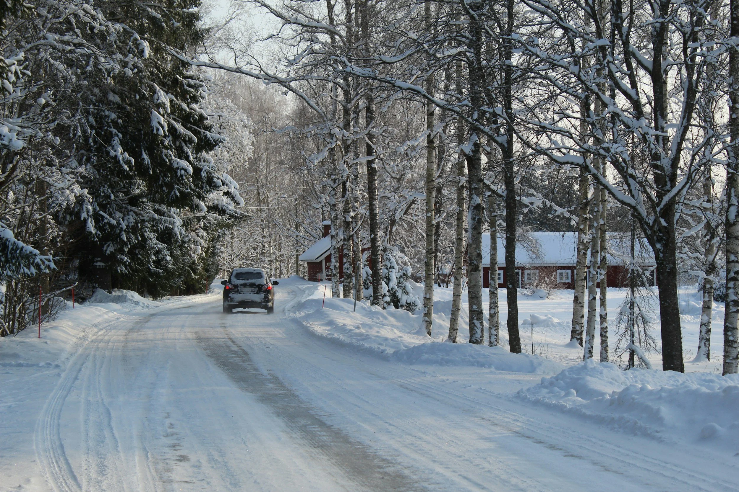 Car driving snowy winter road lined with birch trees toward cabin, Montana rural landscape