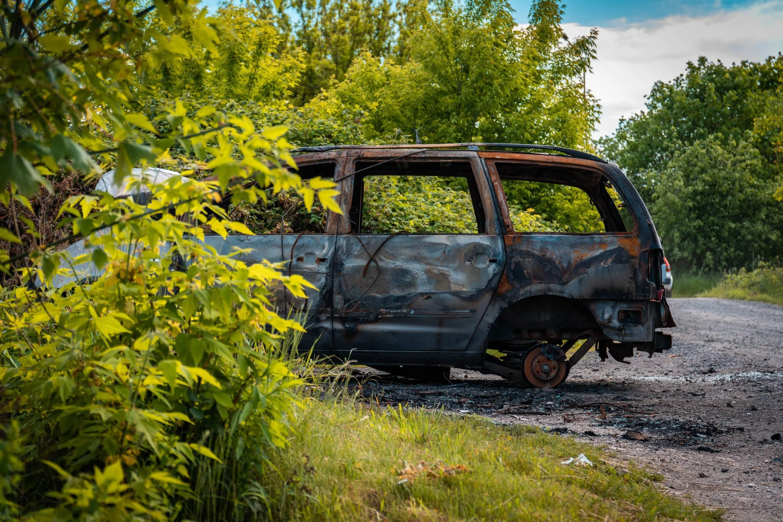 Abandoned rusted van in overgrown field demonstrates importance of vehicle history checks before purchasing used cars