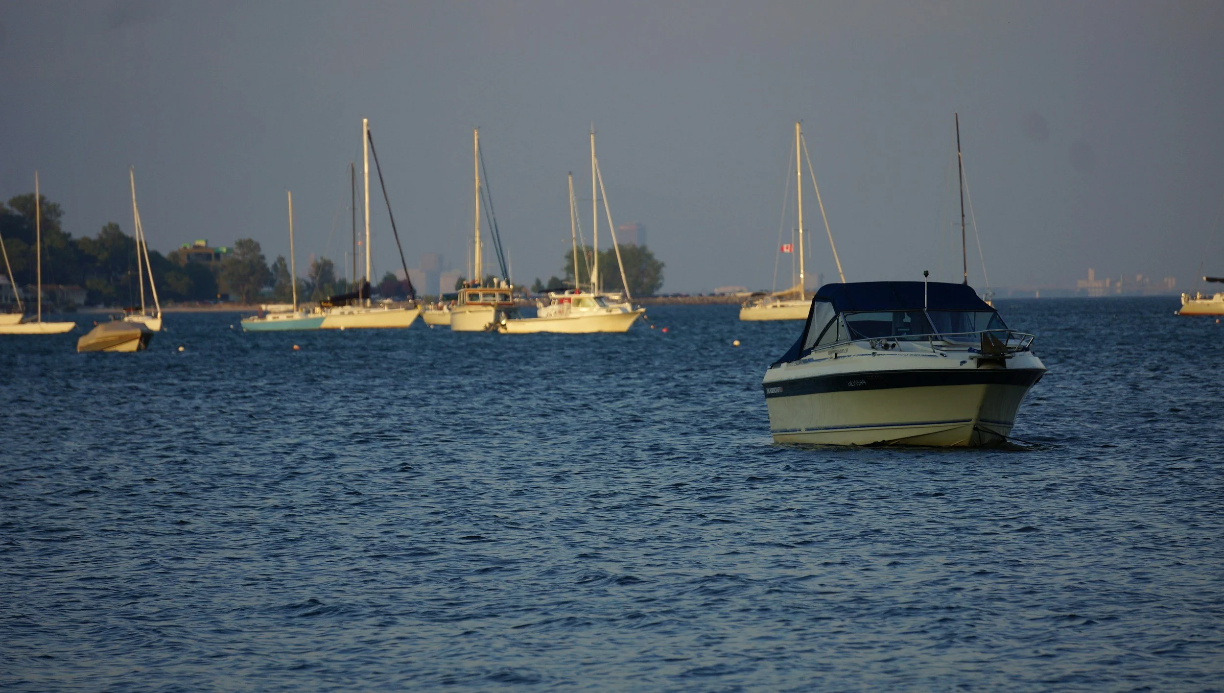 Moored sailboats and motorboats anchored in calm blue water near shore with trees visible.