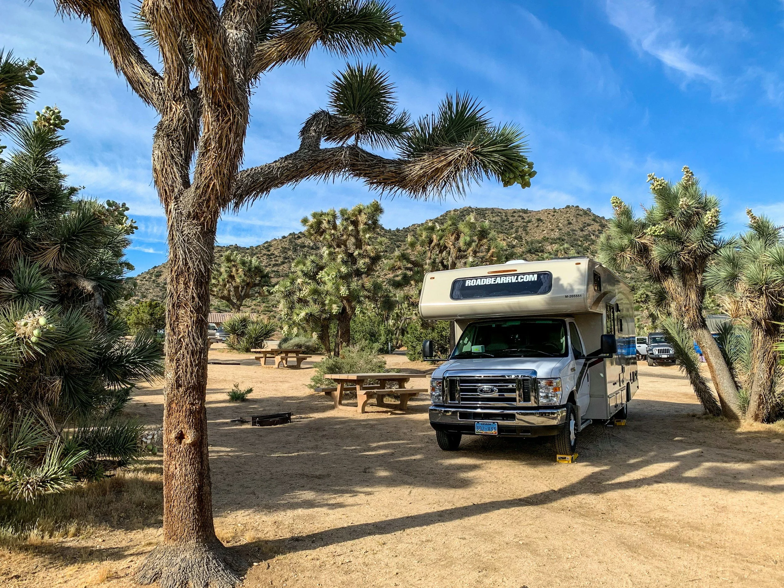 RV motorhome parked at desert campsite among Joshua trees, representing California noncommercial Class A license