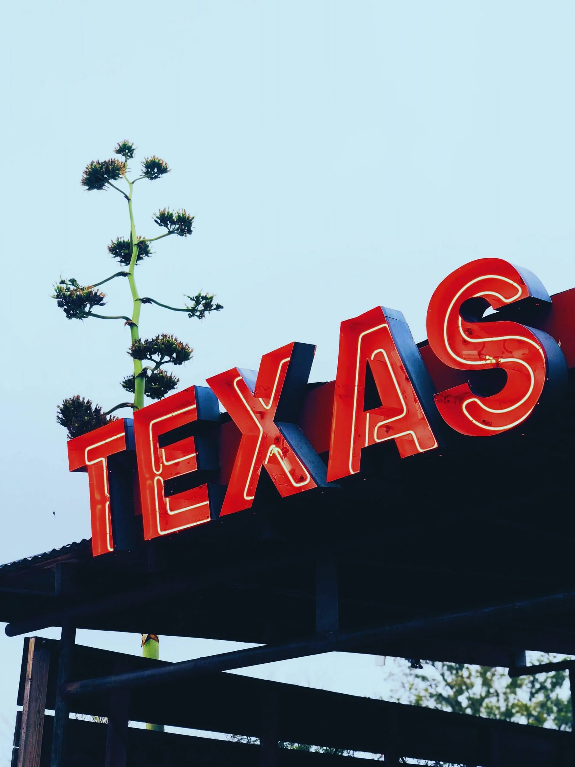 Vintage red Texas neon sign with desert plant, representing Texas auto registration and vehicle licensing services