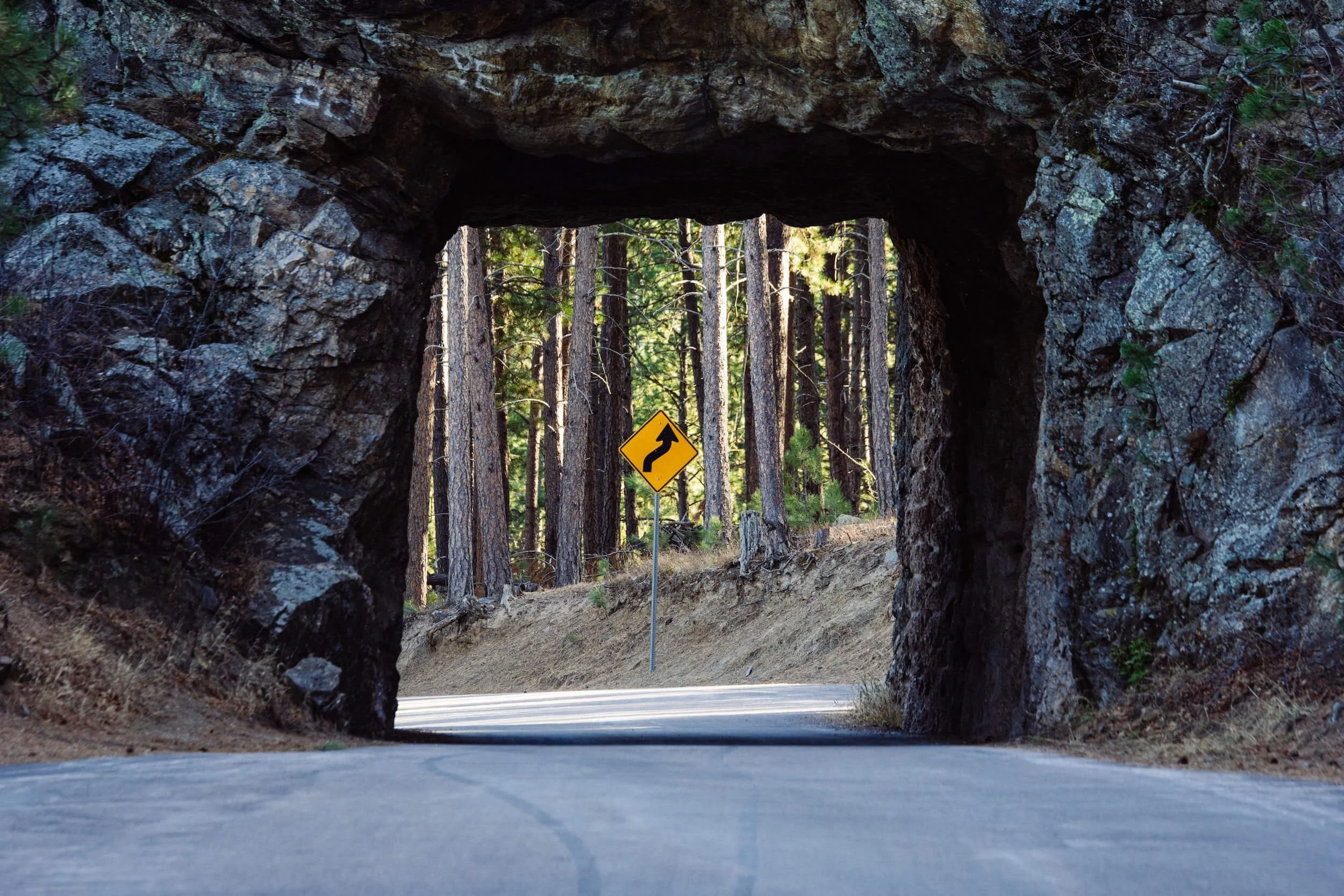Road tunnel through rock with yellow curve warning sign and forest ahead