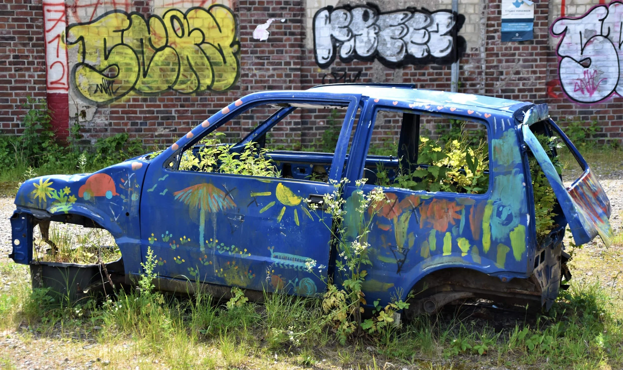 Abandoned blue truck with missing windows and overgrown plants
