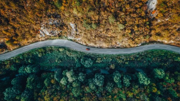 Aerial view of a car driving on coastal road through autumn forest, symbolizing vehicle technology security concerns.