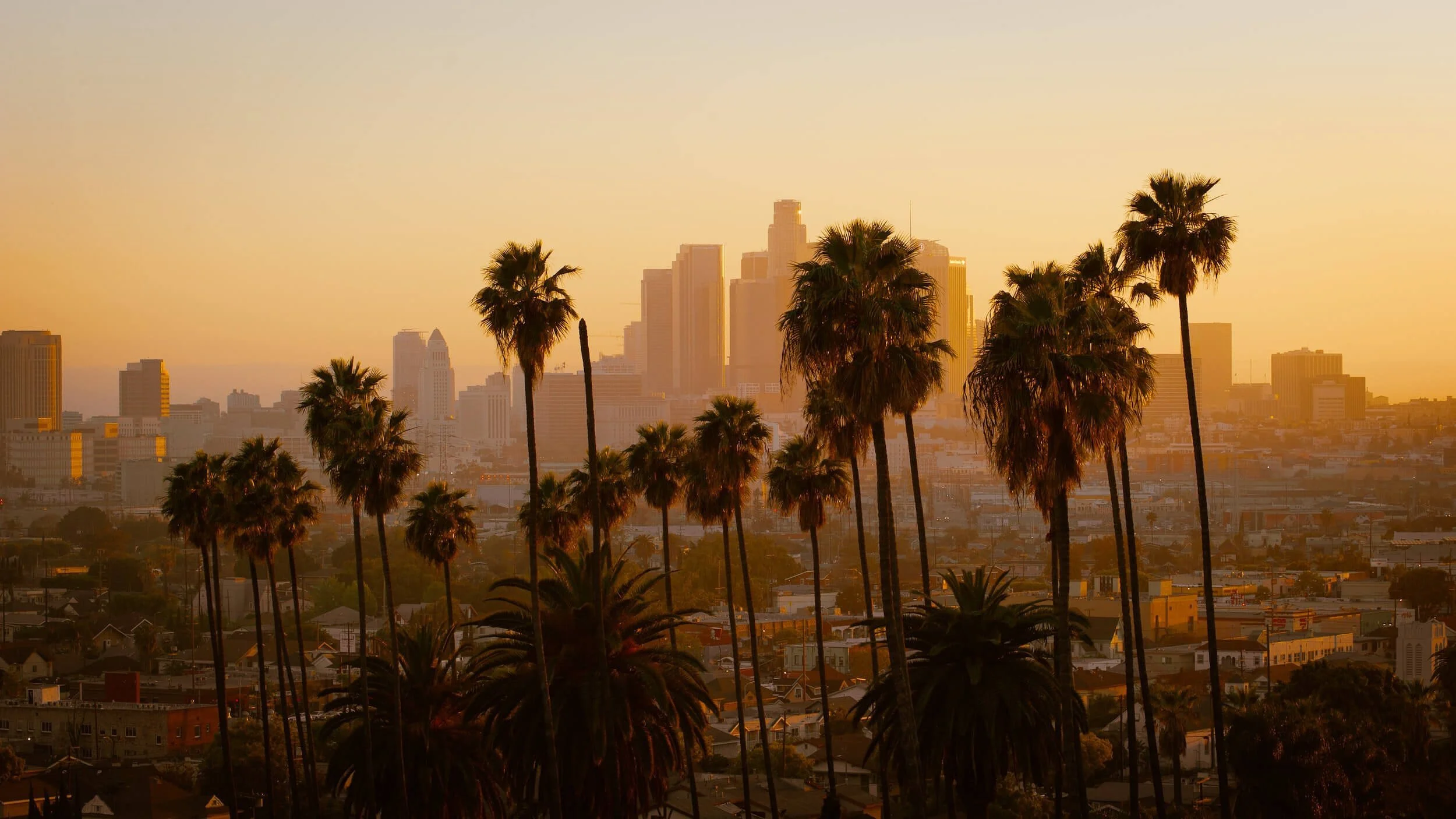 Los Angeles skyline at sunset with palm trees framing the city, representing California's emissions testing requirements.