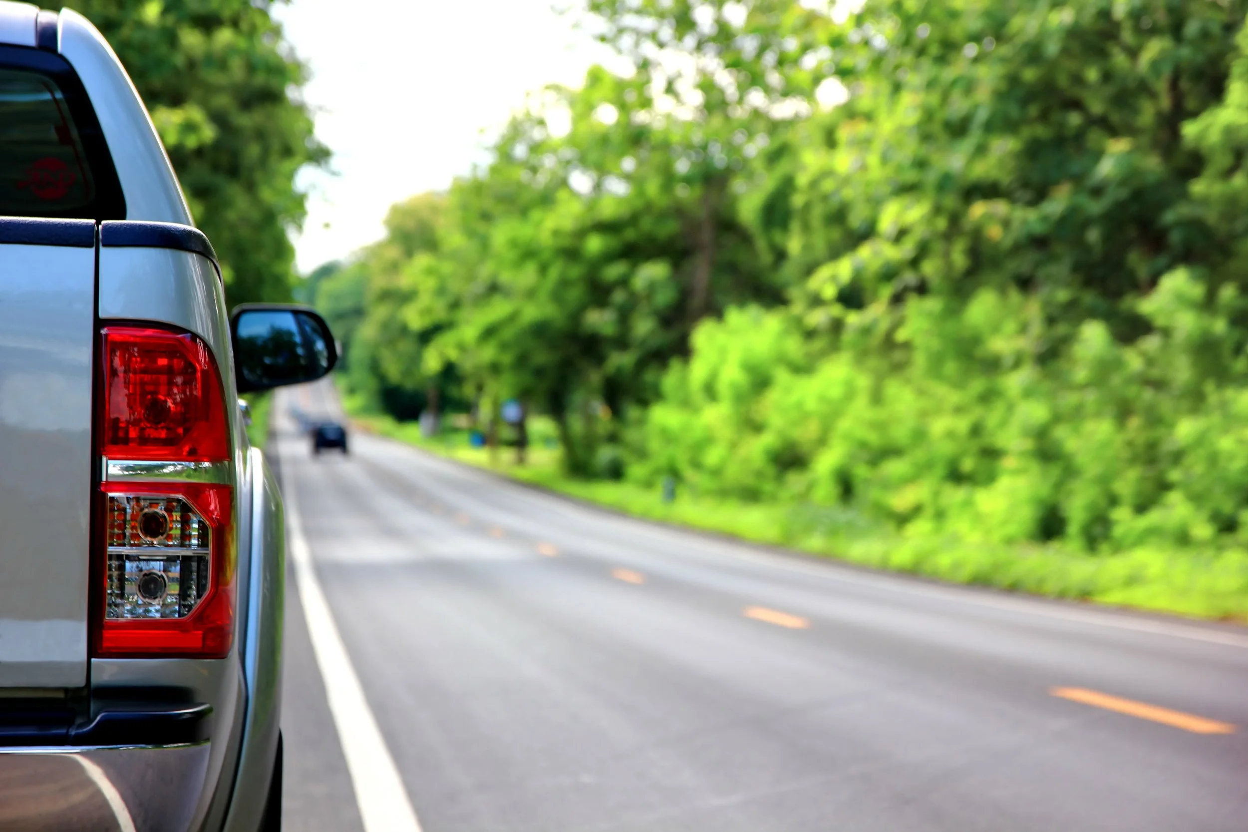 Silver pickup truck parked on rural highway surrounded by green trees and forest landscape