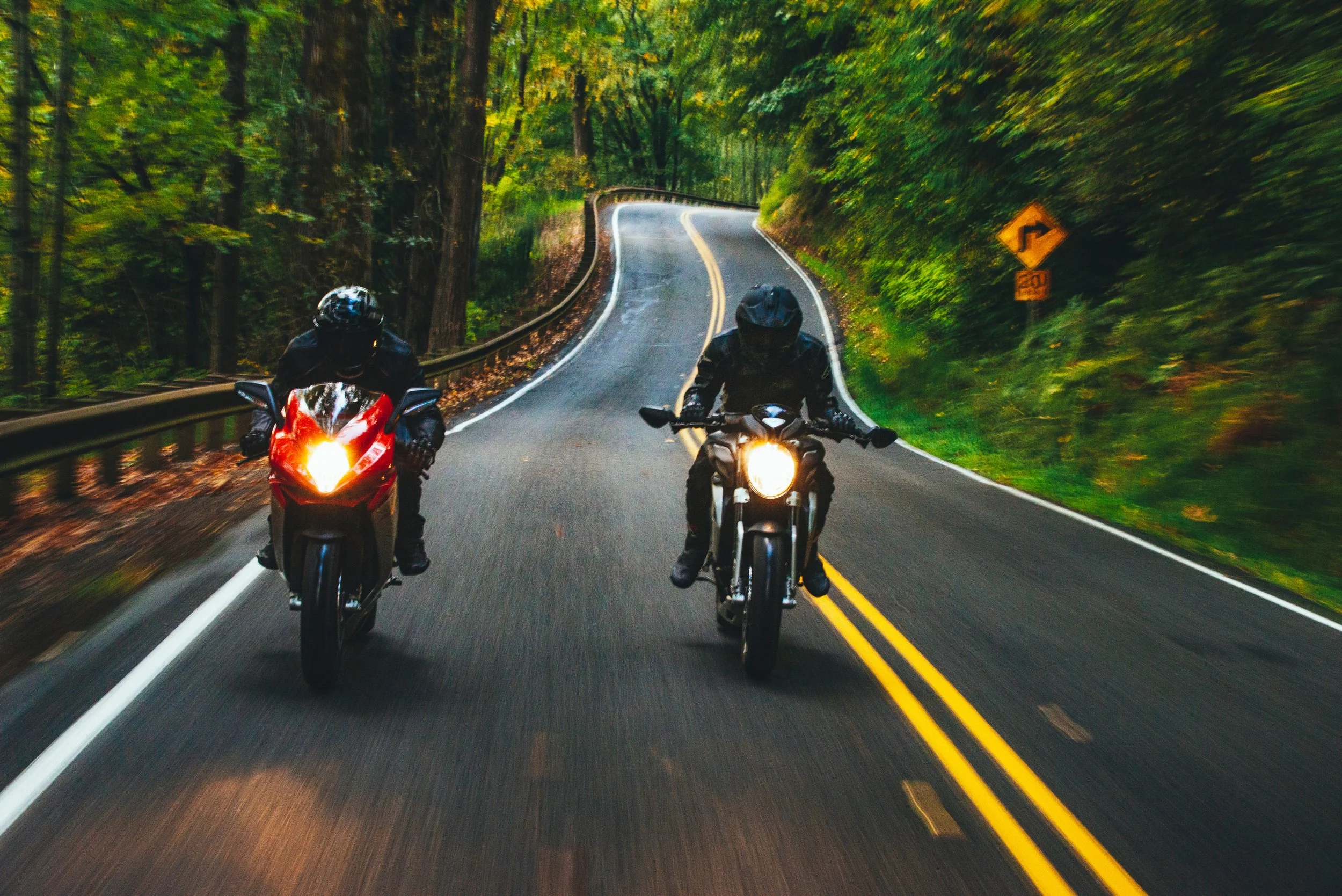 Two motorcycles riding together on a scenic forest road with headlights on and curve ahead sign visible.