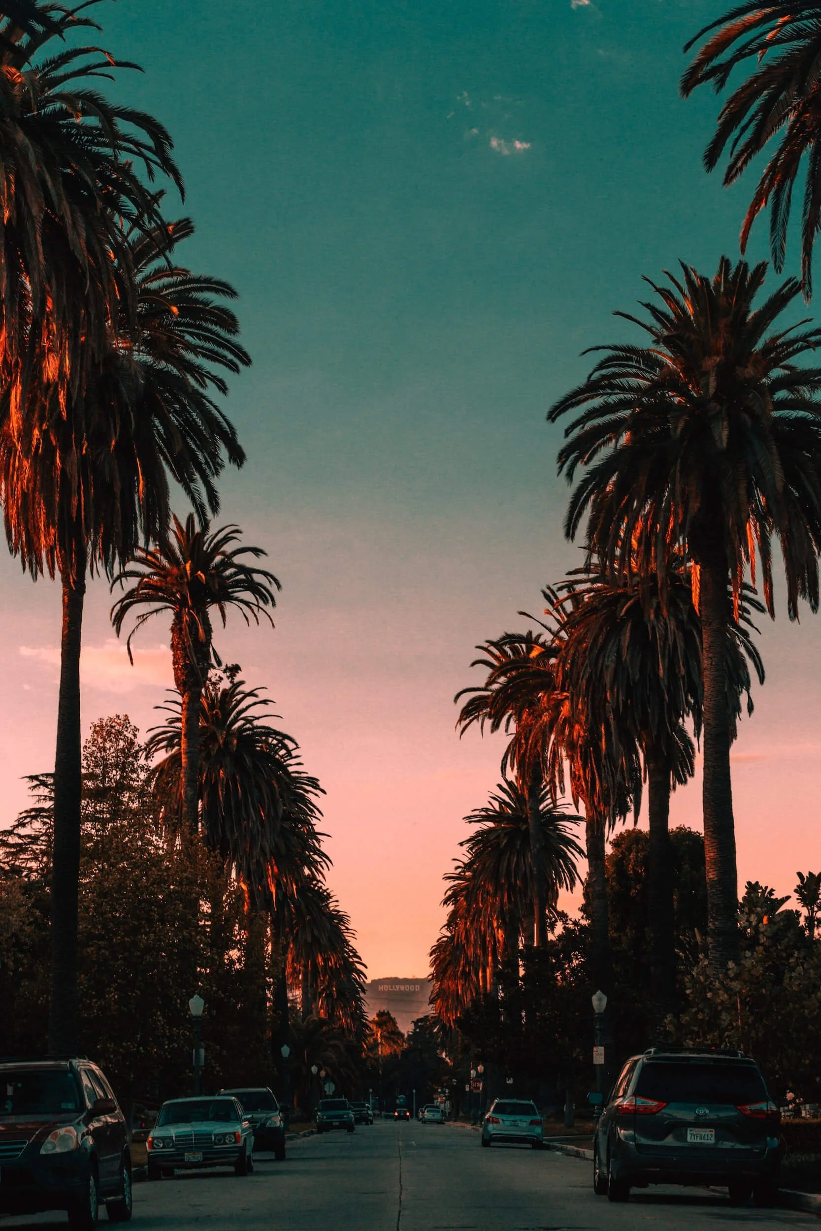 Palm-lined California street at sunset with parked vehicles and Hollywood Hills in background