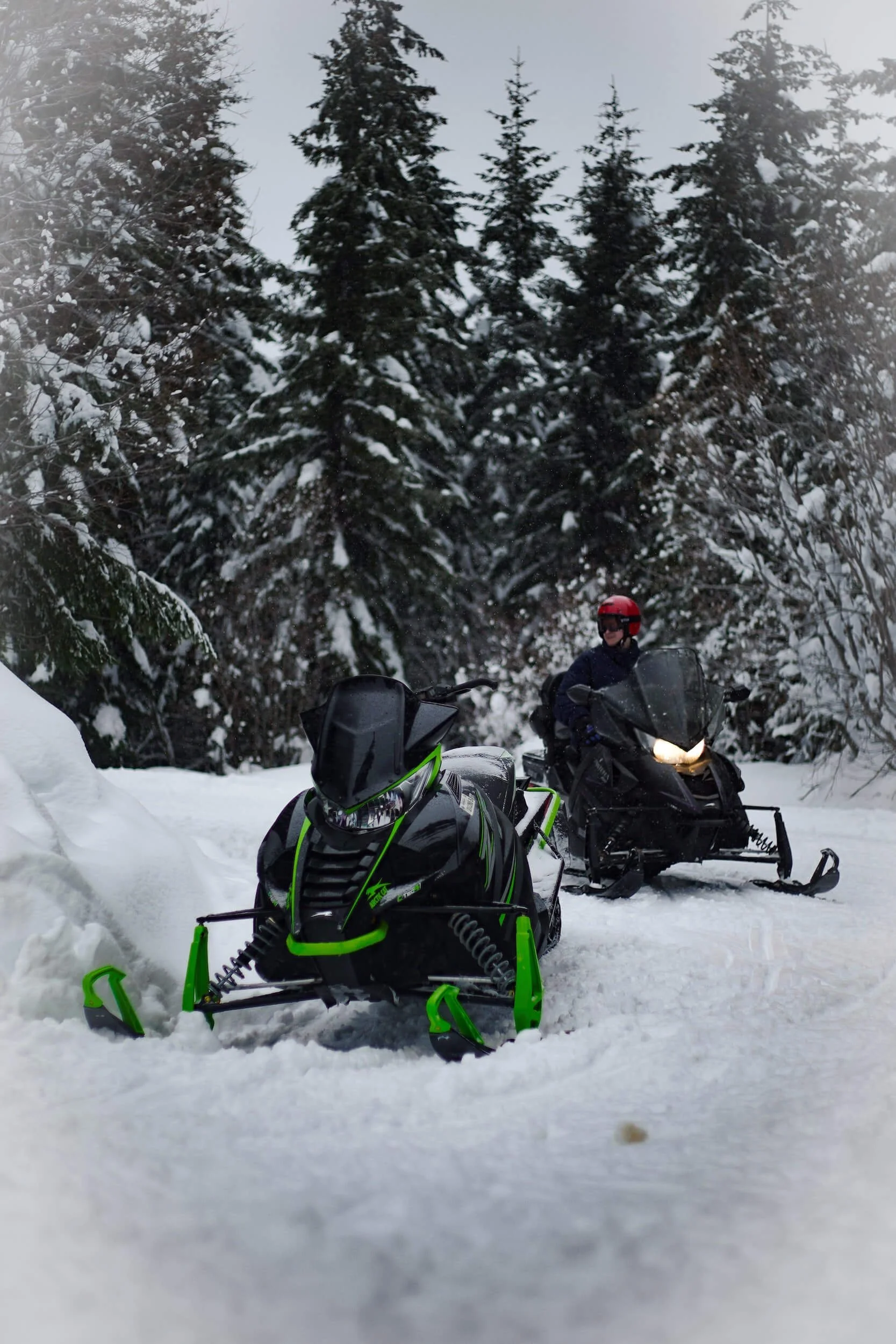 2 snowmobiles beside trees
