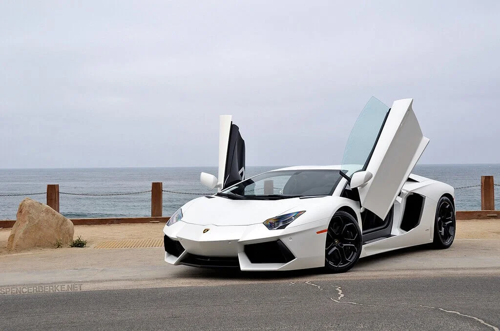 lambo doors open
