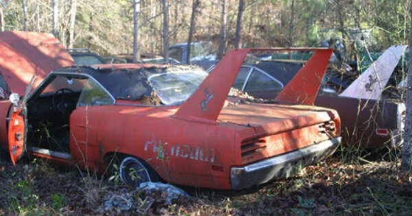 abandoned superbirds