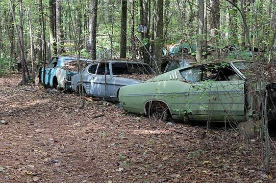 abandoned cars