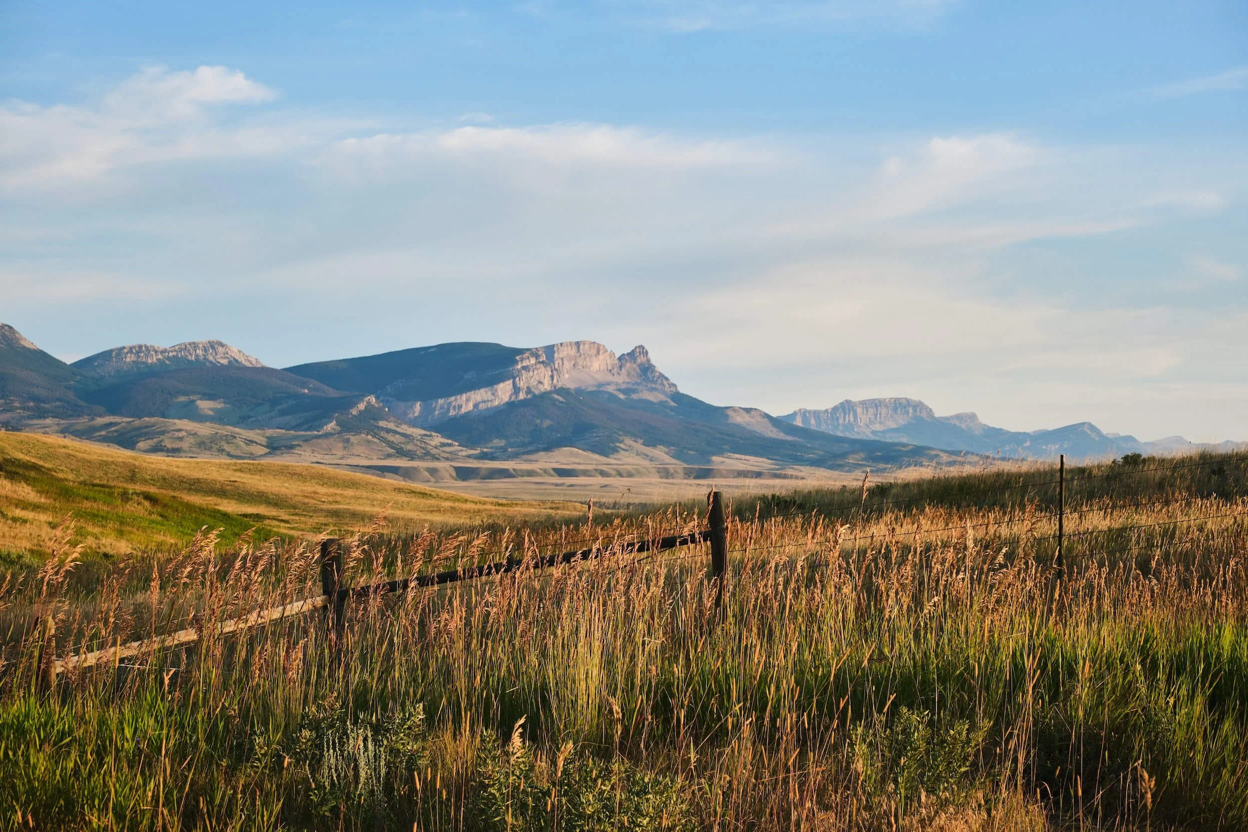green field and mountain in Montana