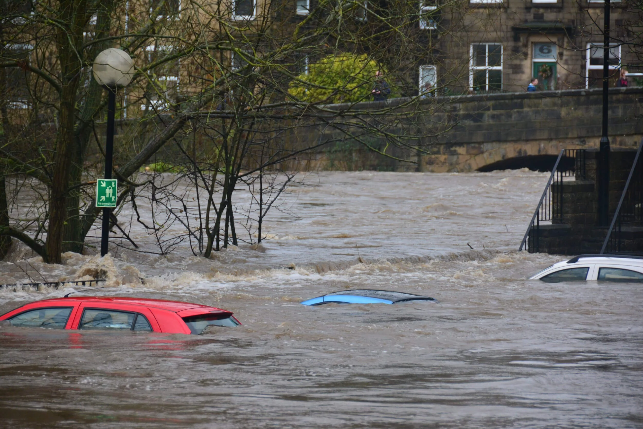 cars floating in flooded area