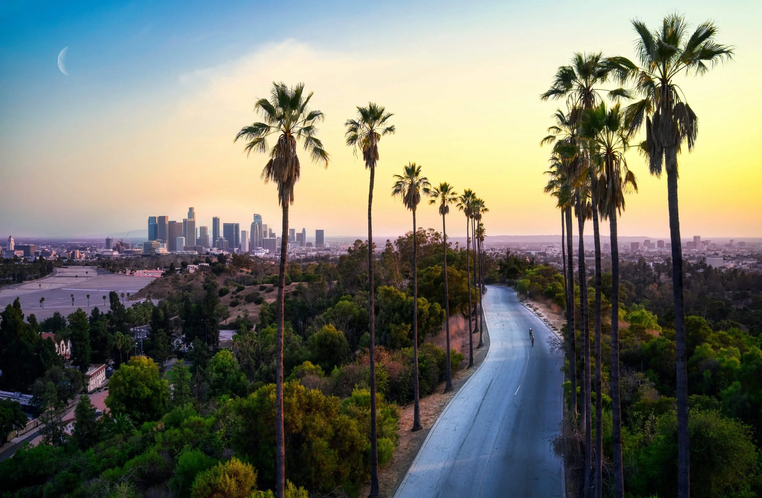 green palm trees near california city buildings