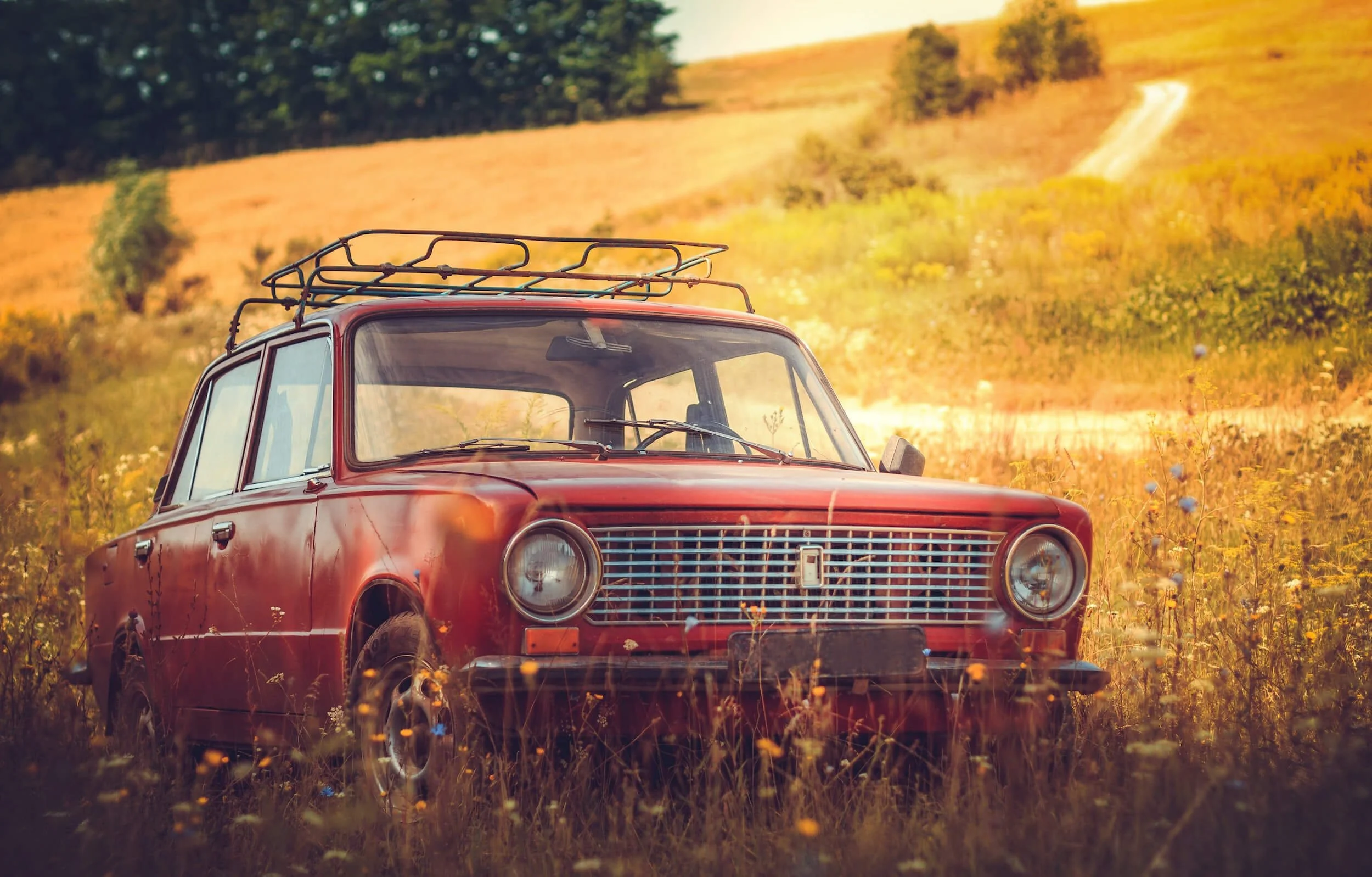 classic car on grass field
