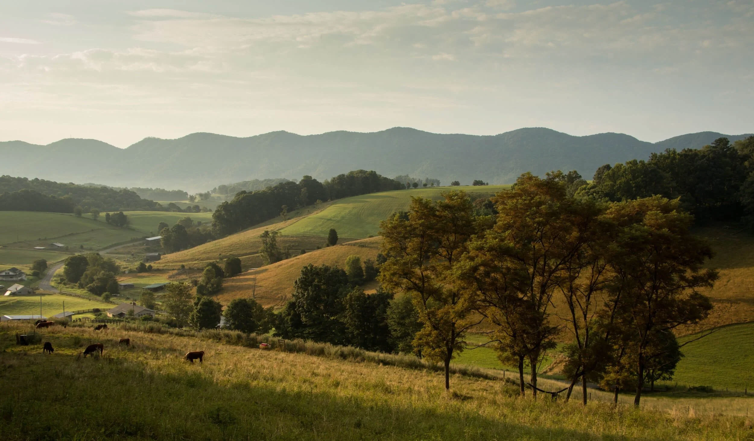 The typical Virginia countryside