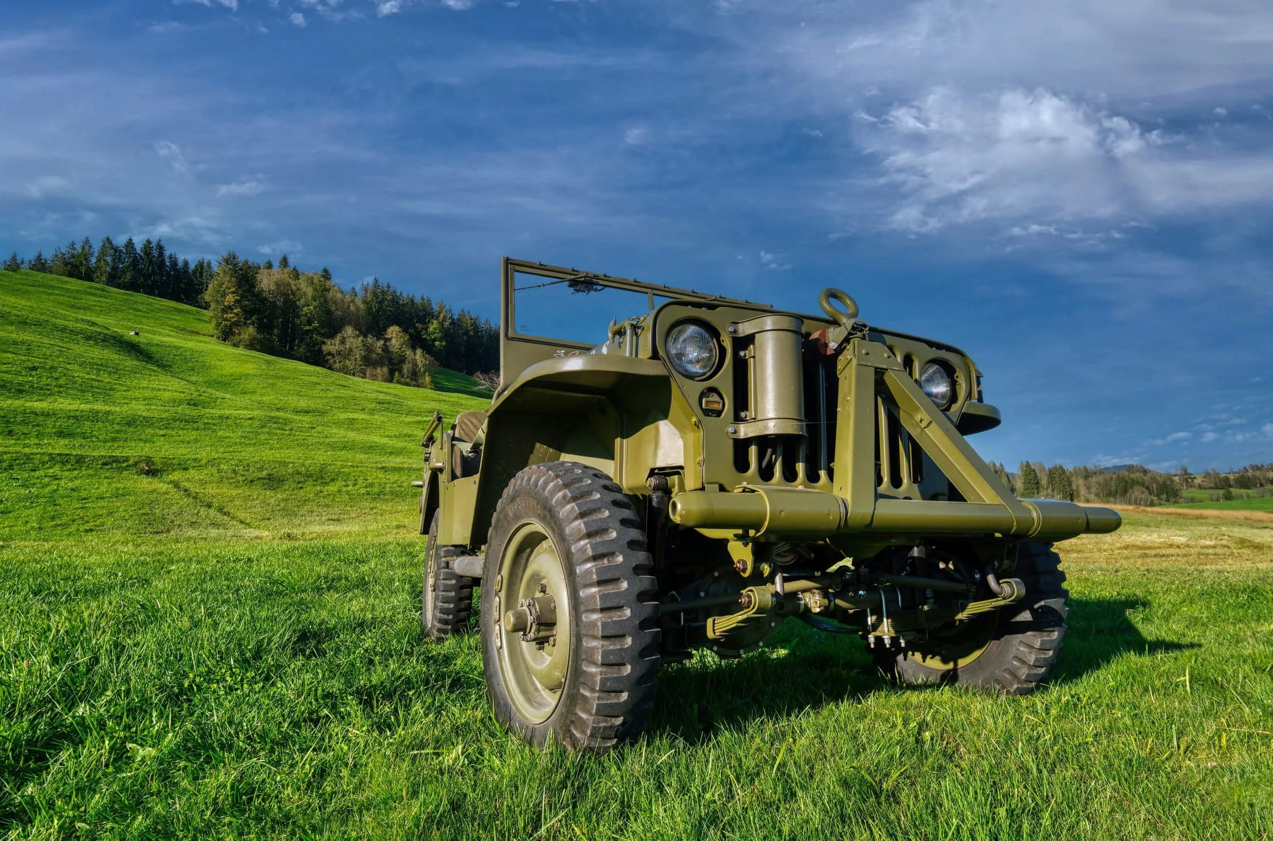 mahindra roxor on grass field