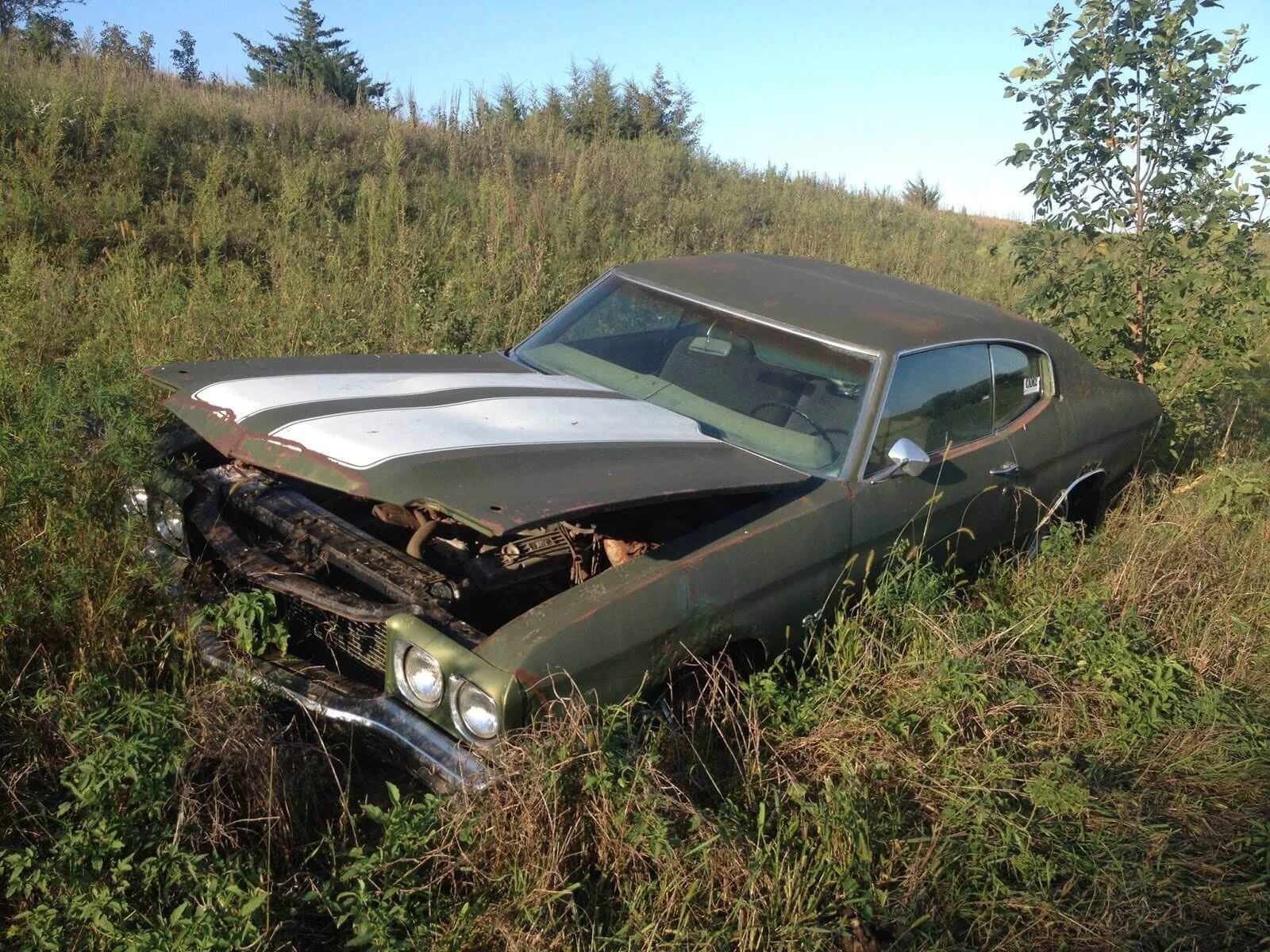 Abandoned Chevelle