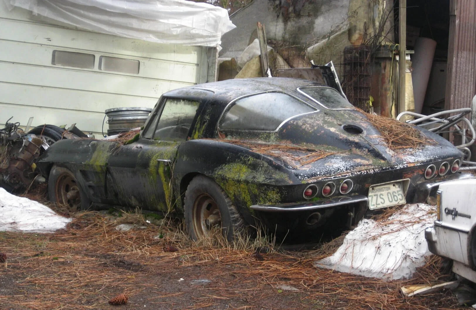 abandoned vette