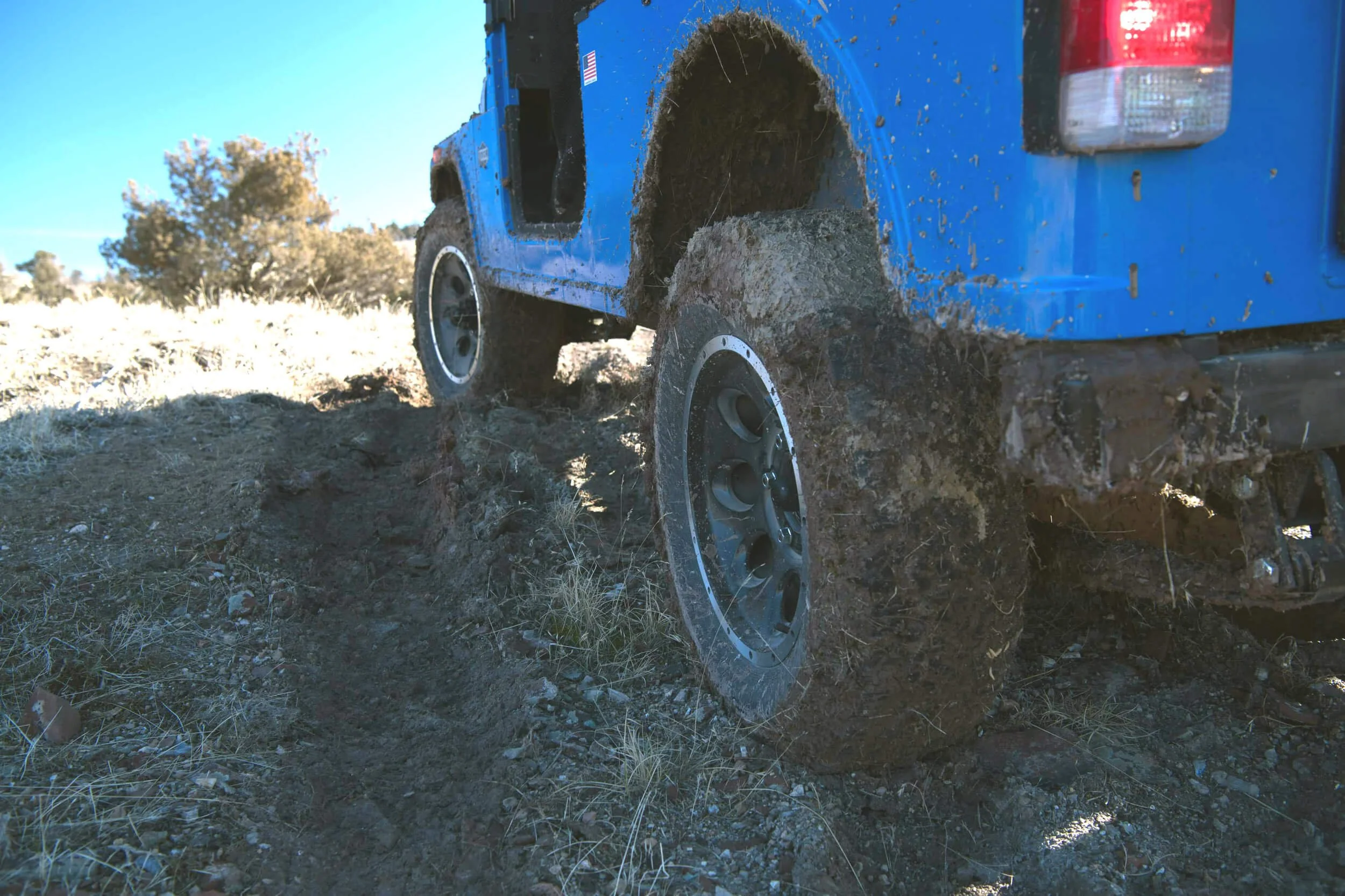 Roxor muddy tires