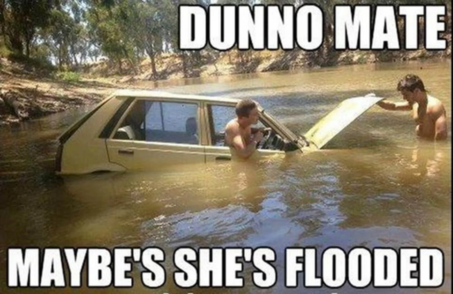 dunno mate, maybe's she's flooded meme