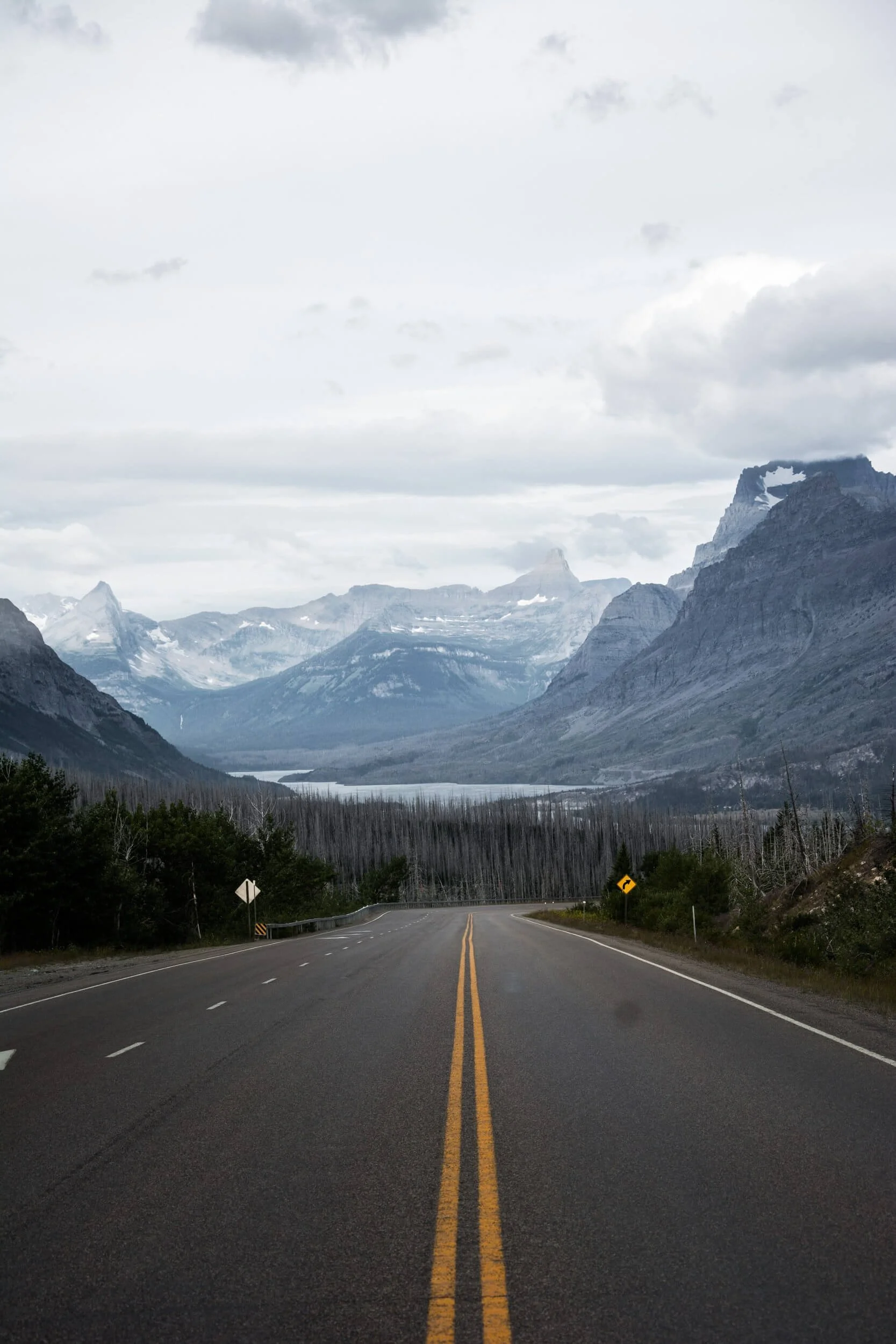 montana street mountain view