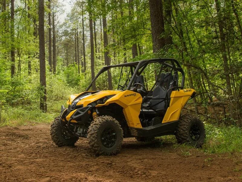 florida utv in the woods