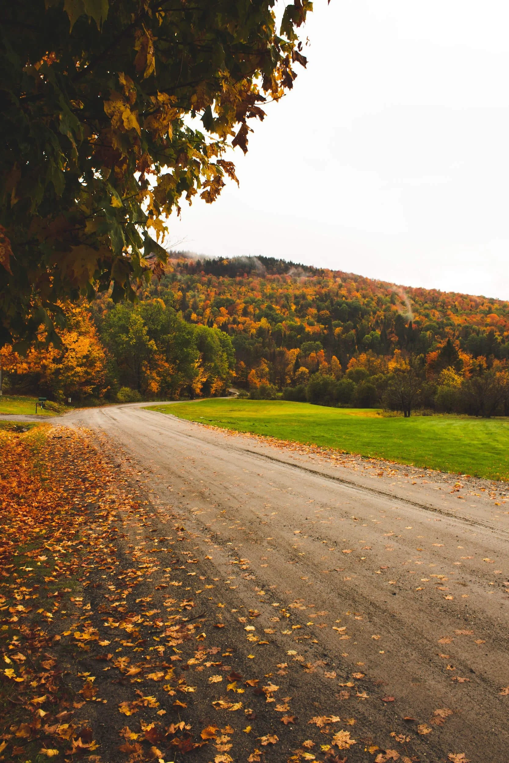 gray concrete road between green grass field in vermont