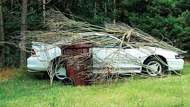 hidden Mustang