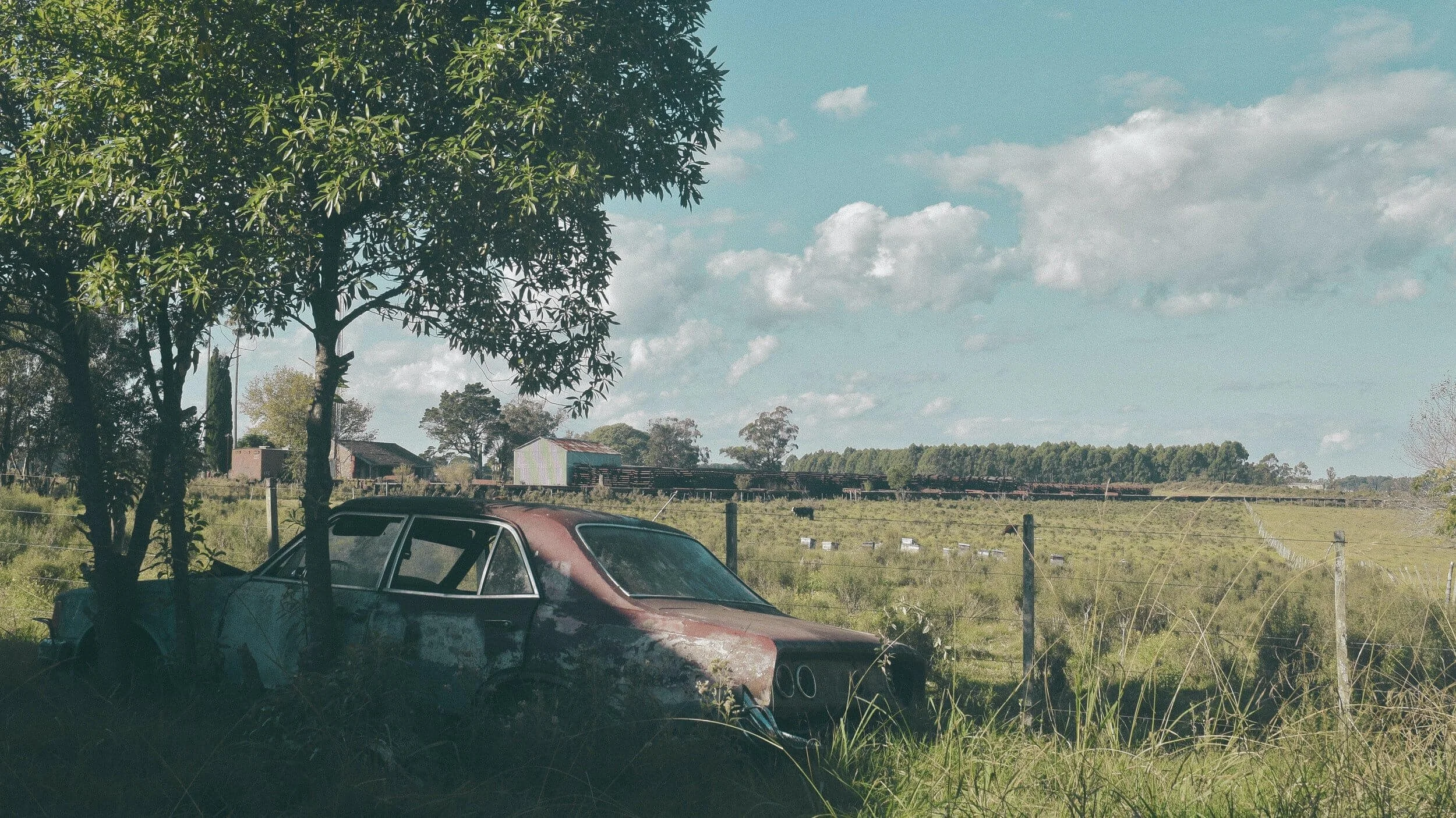 old abandoned car