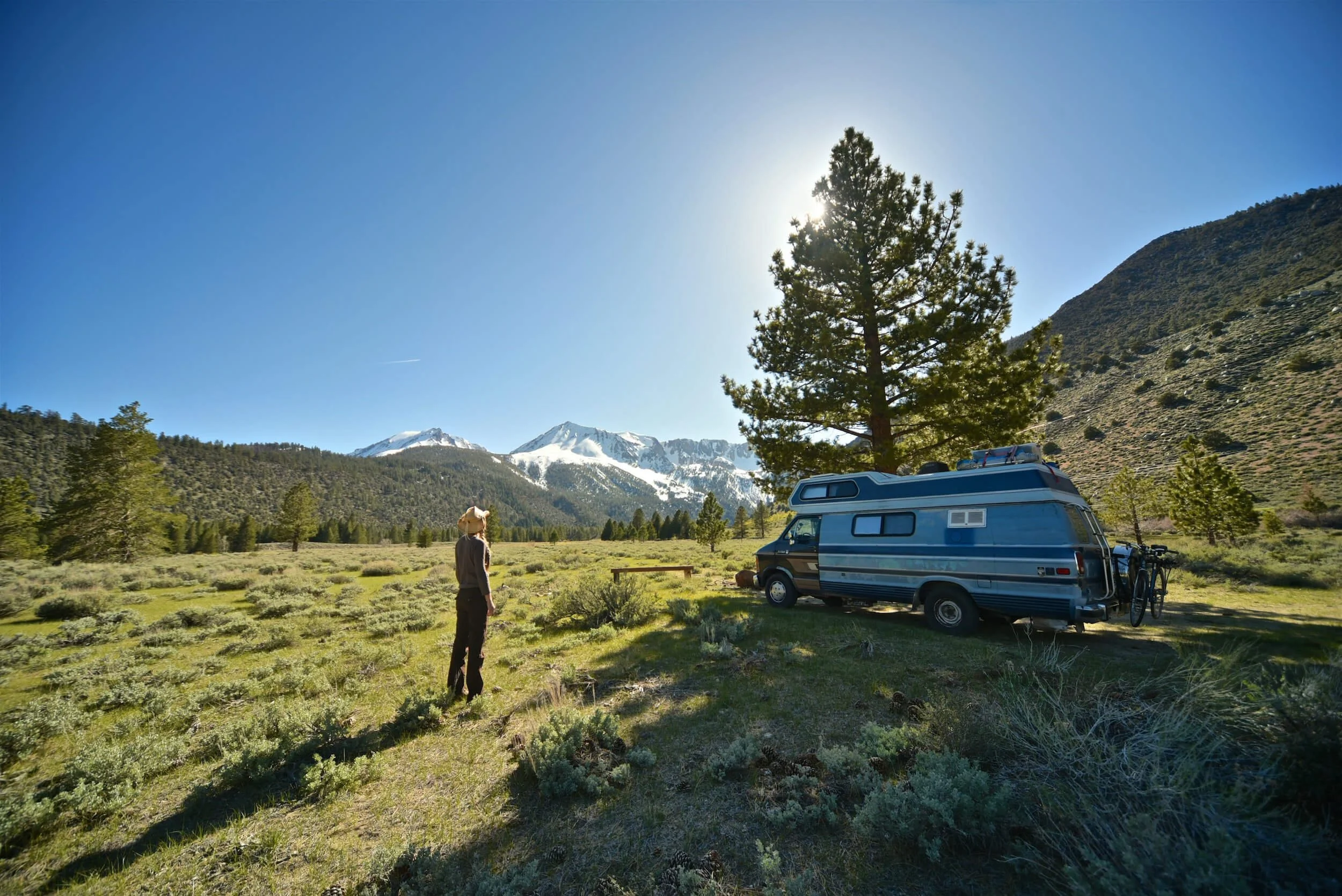 RV parked beside tree in green grass field